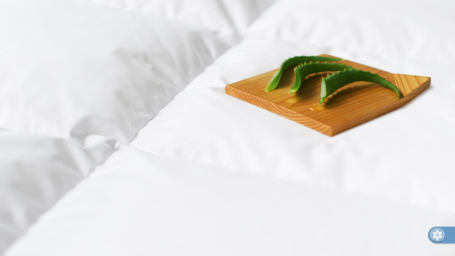 Close-up of Aurora Lilot Down Duvet with a wooden plate in Japanese style holding three pieces of aloe vera, symbolizing the duvet's fabric finishing with aloe vera, vitamin E, and jojoba oil.