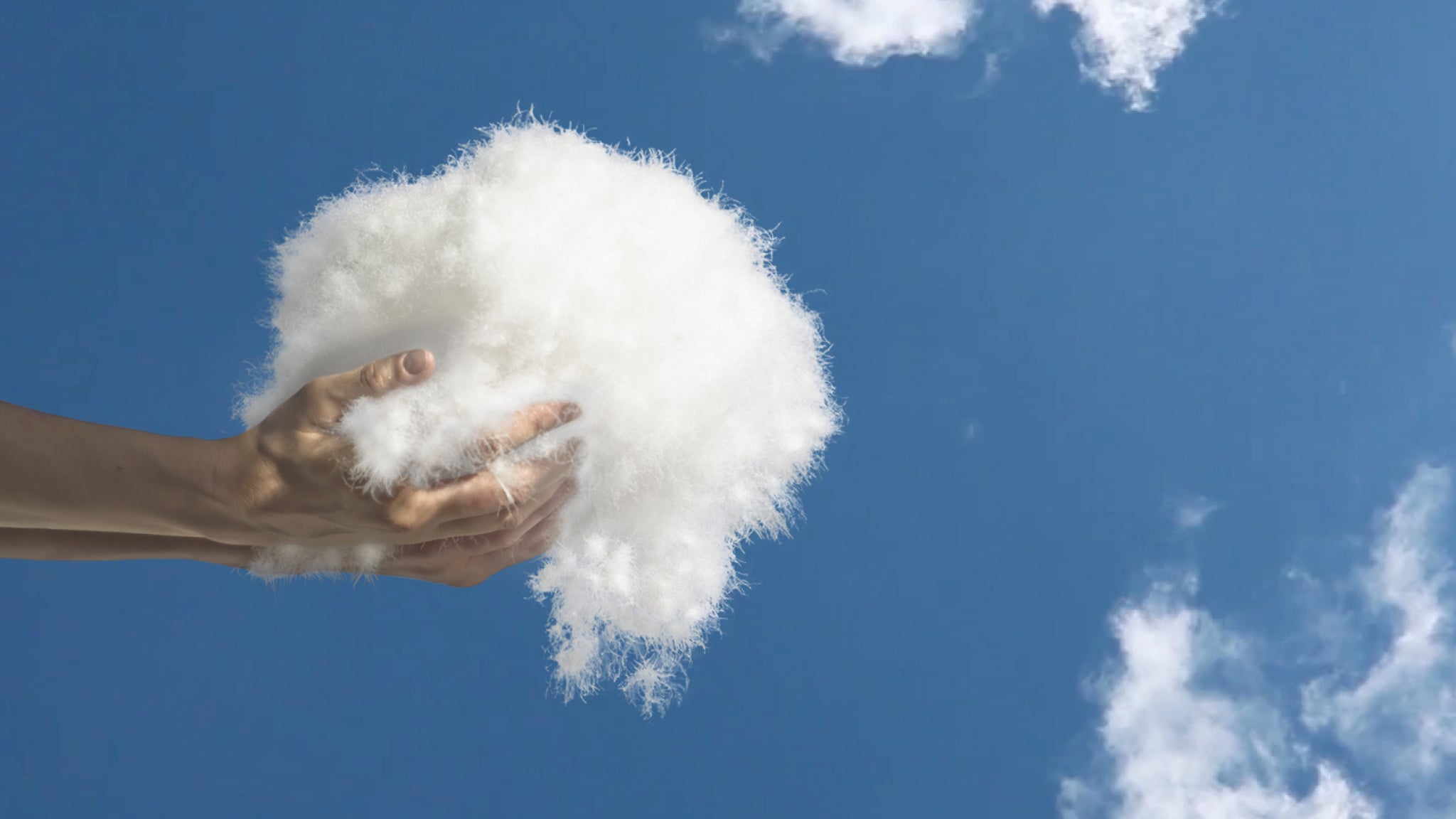 Hands holding large clusters of extra-clean, hypoallergenic winter-harvested 'Like a Cloud' white goose down, with a blue sky and white clouds in the background.