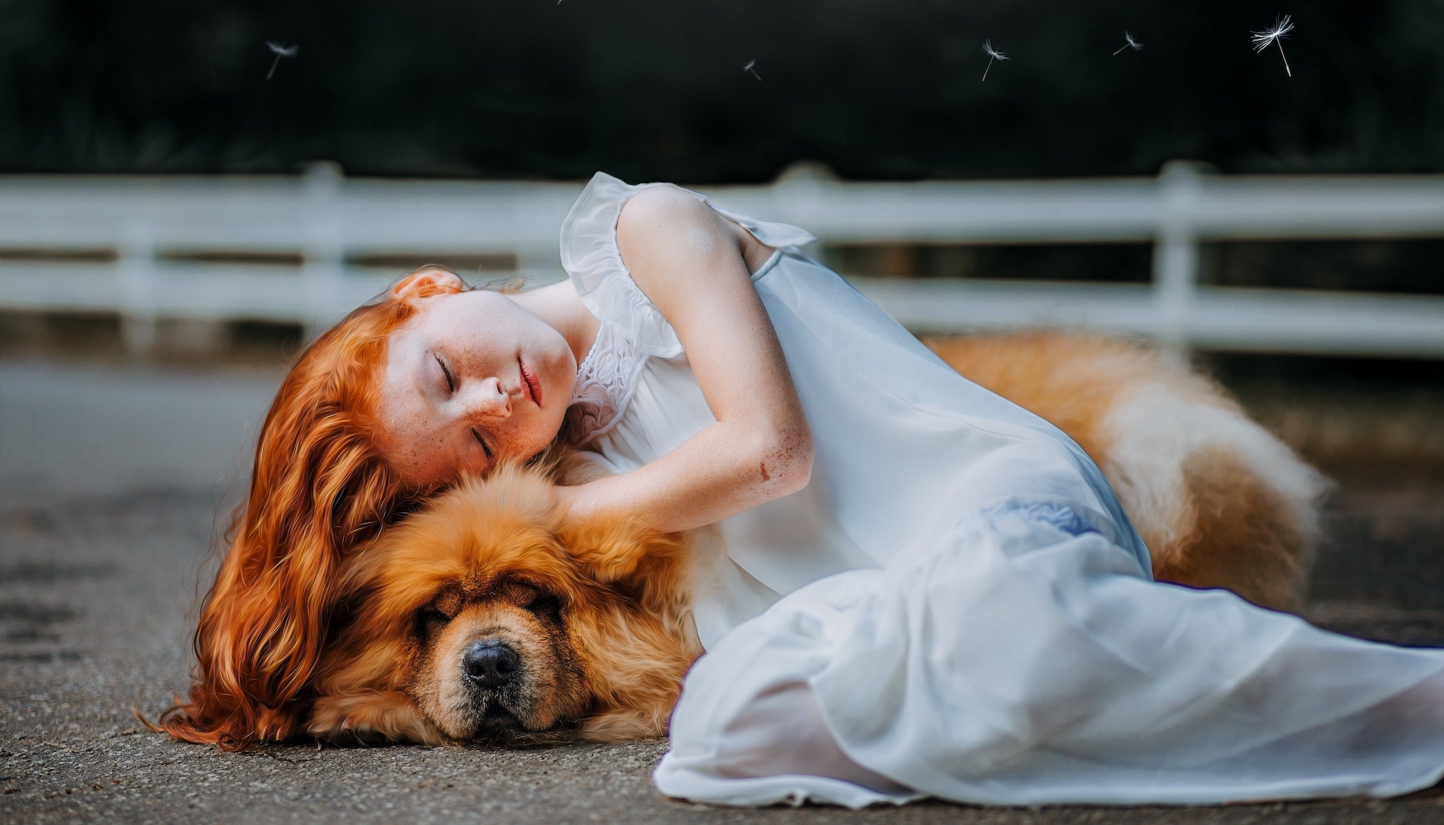 A young girl with red hair in a white dress sleeps peacefully, resting her head on a large fluffy dog. The serene outdoor scene is calm and gentle, perfect for capturing the essence of comfort and companionship.