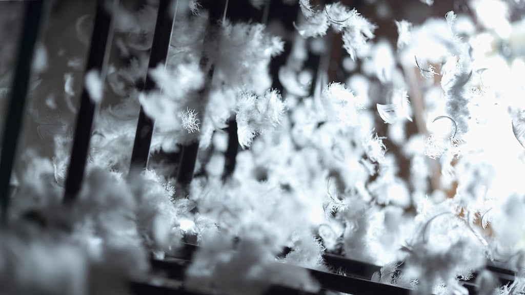 Close-up view of white goose down and feathers being sorted inside a machine at the Aurora Lilot Factory.