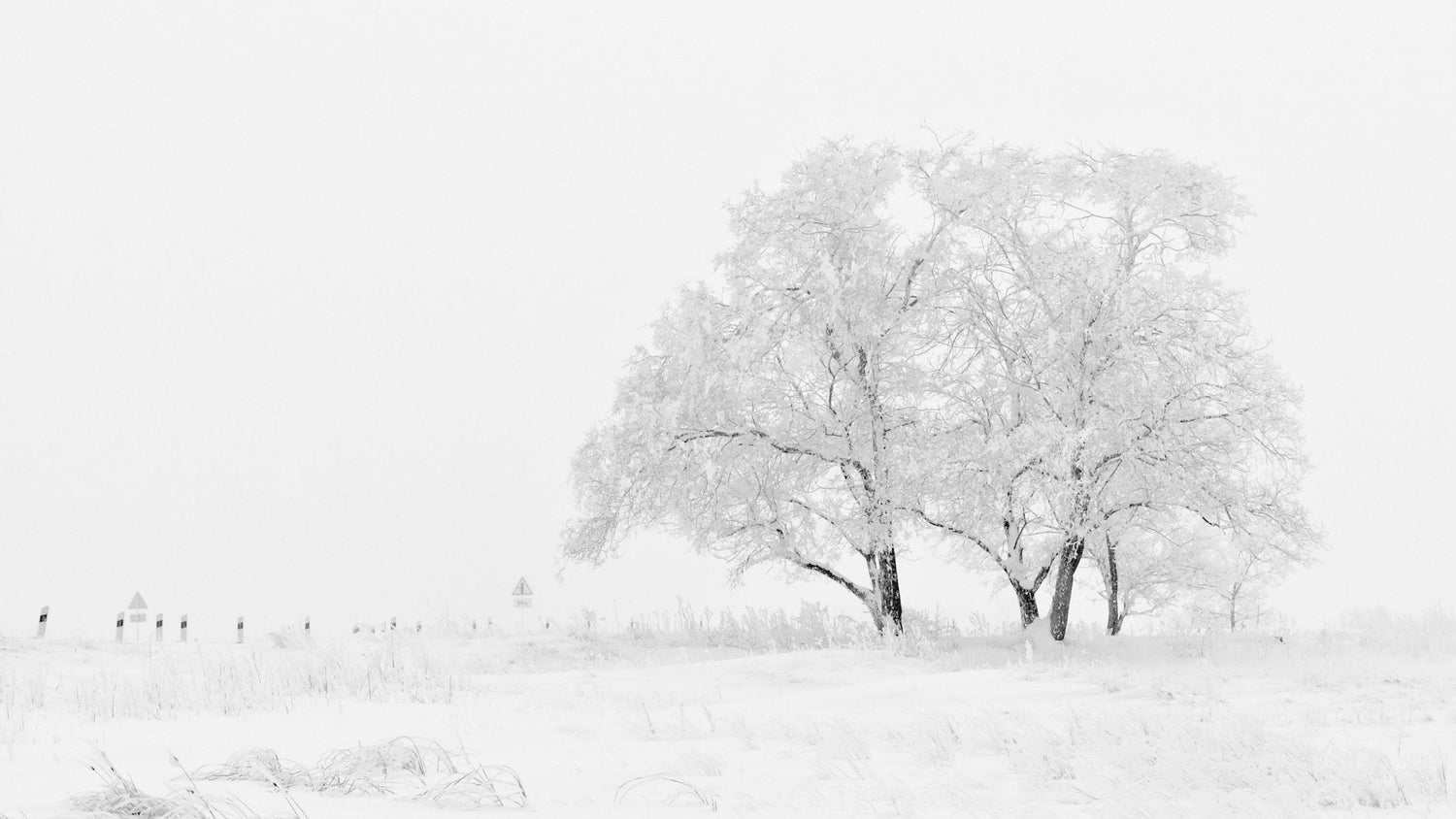 In the foreground, a snow-covered tree stands amidst a landscape blanketed in pure white snow, creating a serene winter scene.